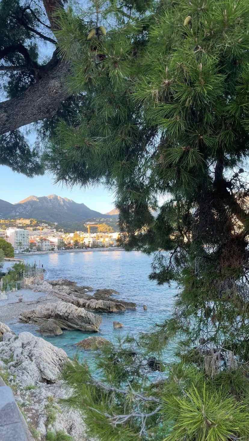 Criques du Cap Martin sous les pins, face à la baie de Menton